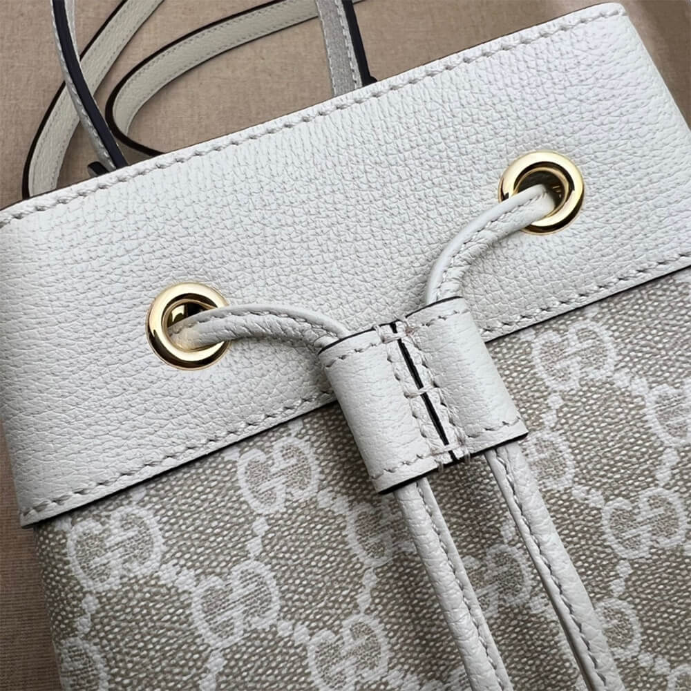 Ophidia small GG bucket bag