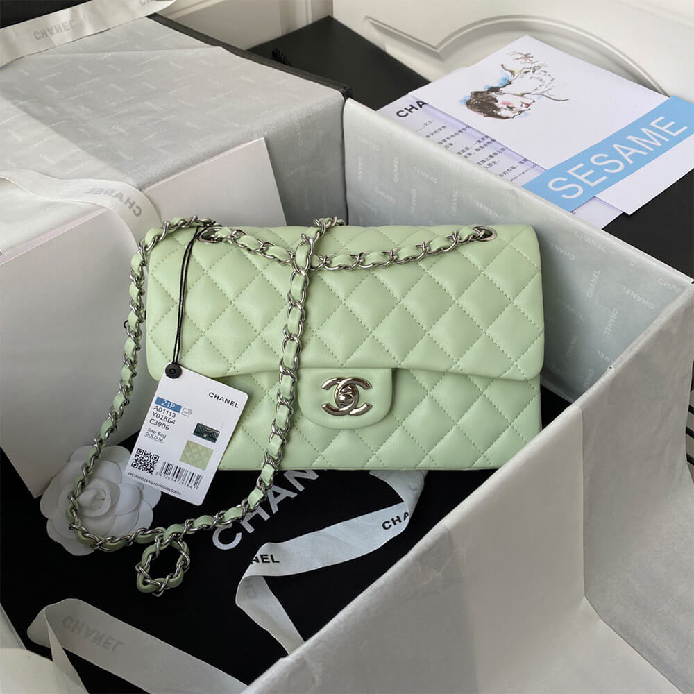 CHANEL Classic Flap Medium Silver hardware