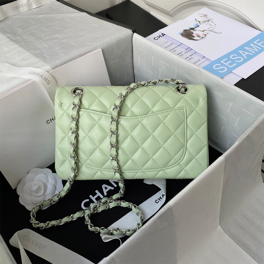 CHANEL Classic Flap Medium Silver hardware