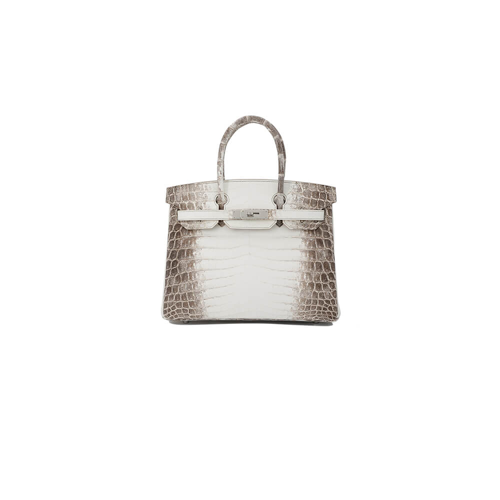 Hermès Birkin 30 Himalayan
