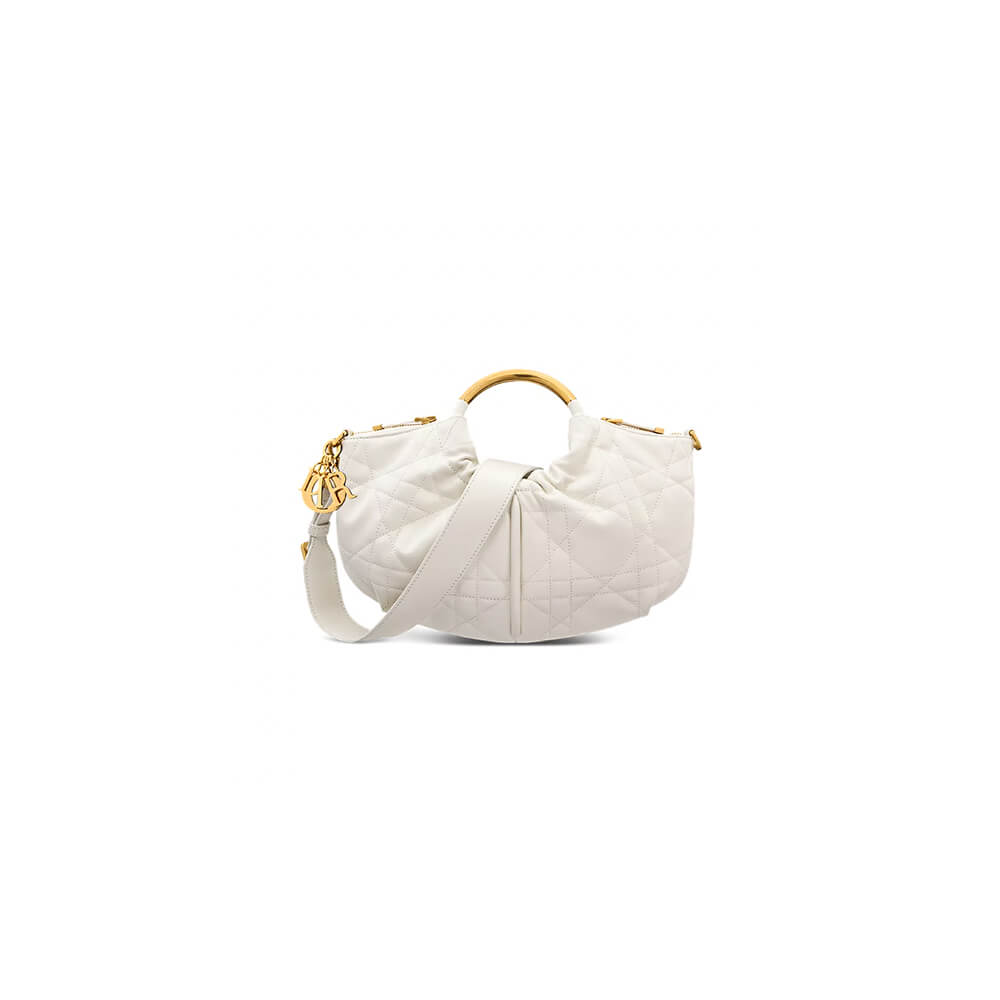 Dior Walk in Dior Purse